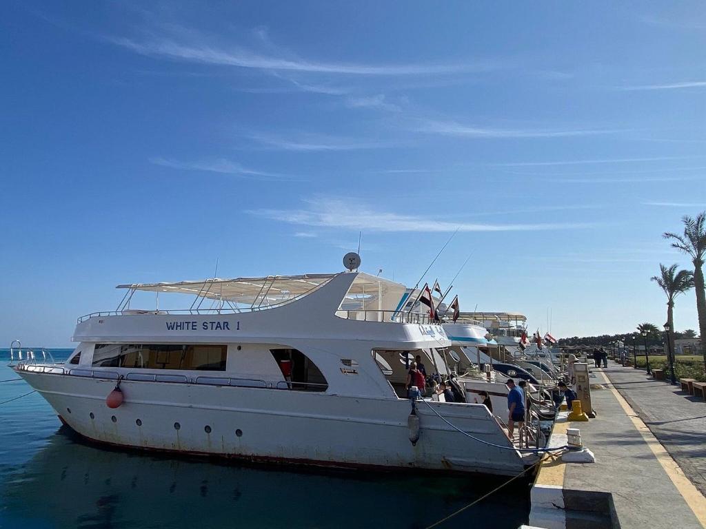 赫尔格达Hurghada Tours的一艘白船停靠在码头