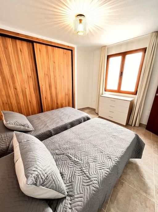 比拉夫洛尔Amplitud y elegancia en Vilaflor的一间卧室设有两张单人床和一个窗户。