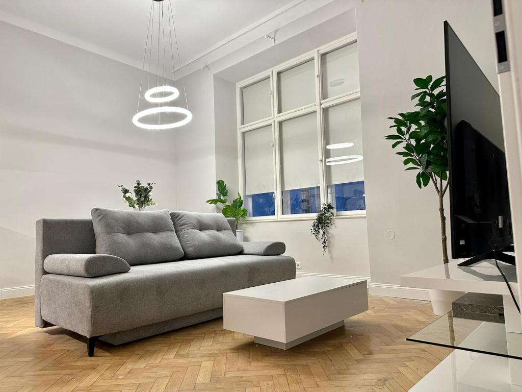 维也纳Stylish Apartment - in the Center的带沙发和电视的客厅