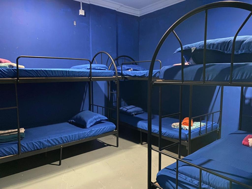 哥打京那巴鲁Capsule Inn的一间设有三张双层床和蓝色墙壁的客房