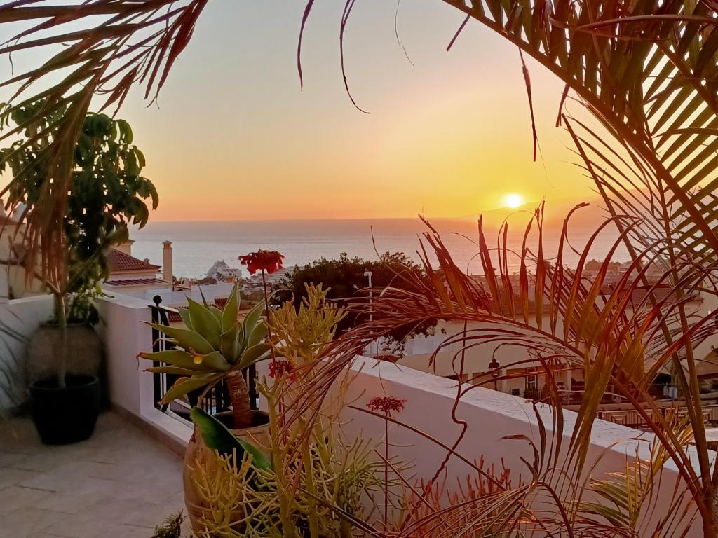阿德耶Costa Adeje Villa Private pool Panoramic Views的从种有植物的阳台欣赏海洋上的日落