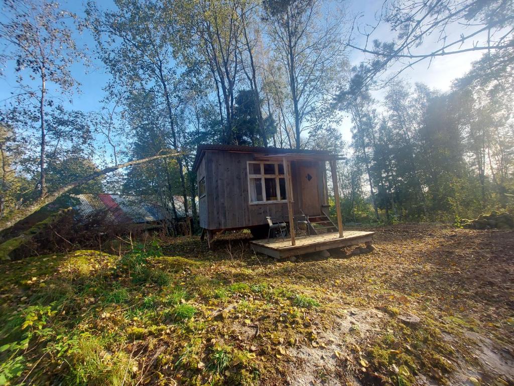 TorestorpGemütliches Tiny House Uggla im Wald am See的森林中间的小棚屋