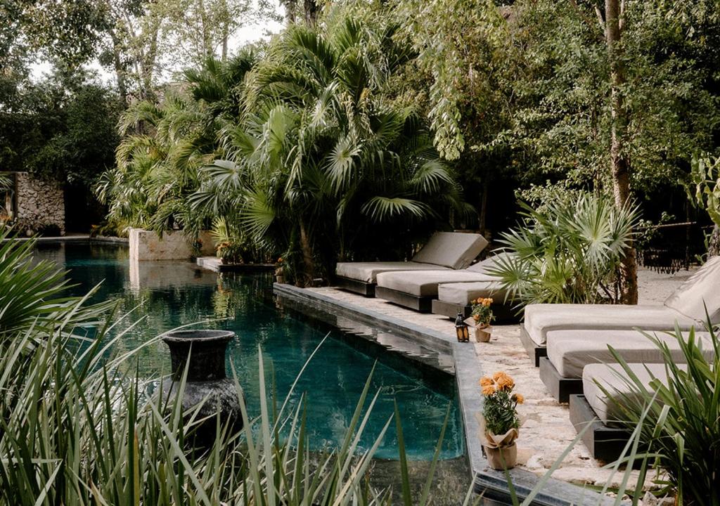 图卢姆Hotel Bardo - Adults Only的后院设有带沙发和树木的游泳池