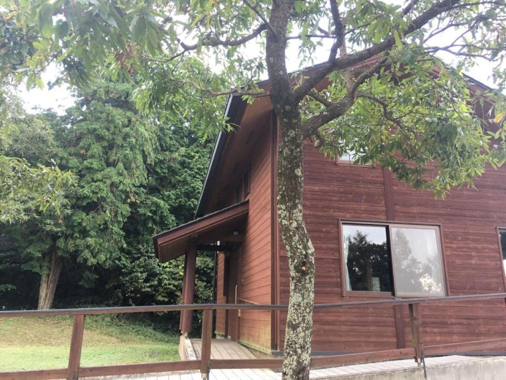 云仙市Eco Park Ronshohara - Vacation STAY 41985v的前面有一棵树的木屋