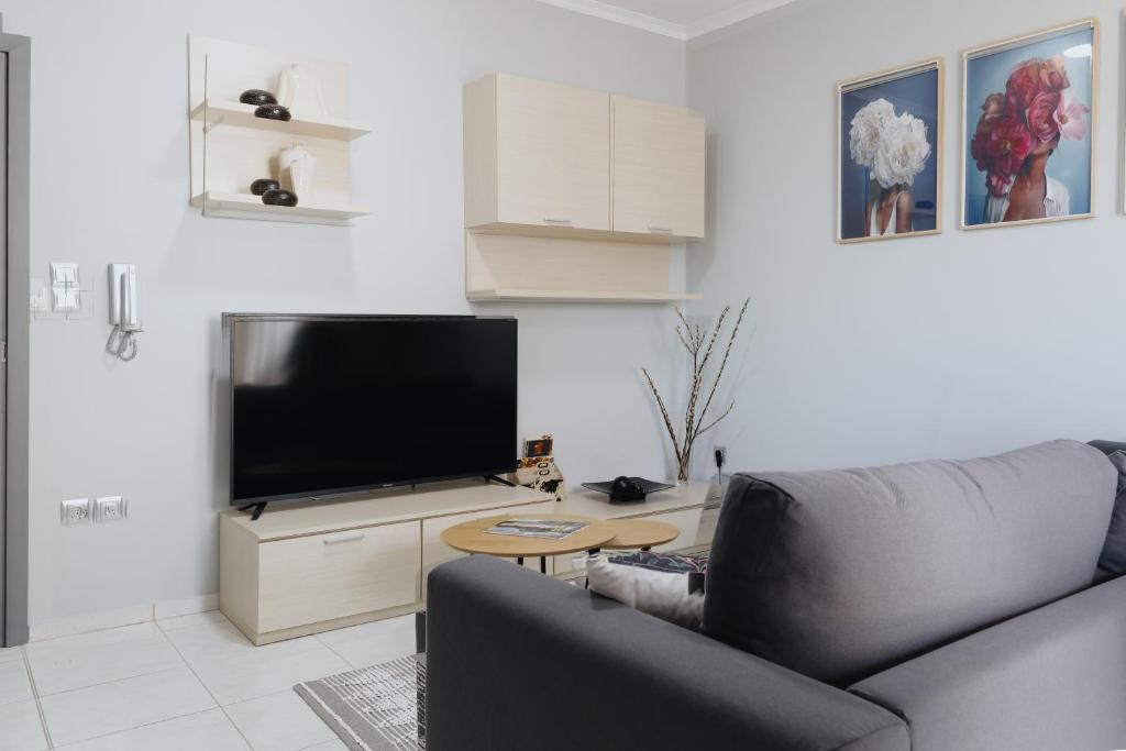 亚历山德鲁波利斯Faros Flat的带沙发和平面电视的客厅