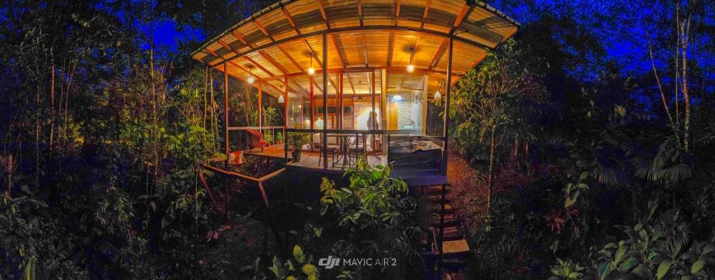 TarquiPuyu Glamping Amazonia Ec的树中间有屋顶的建筑