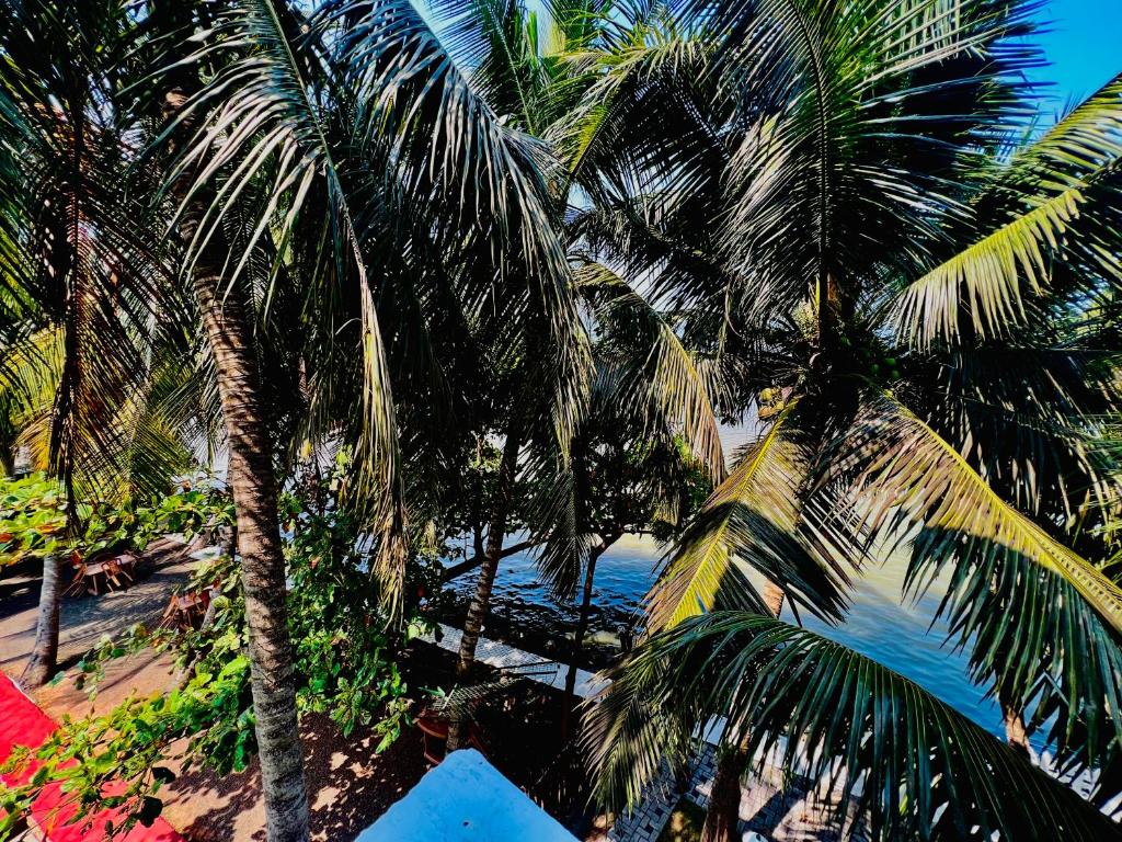 卡图纳耶克Touch Down Family Restaurant & hotel的两棵棕榈树在海边
