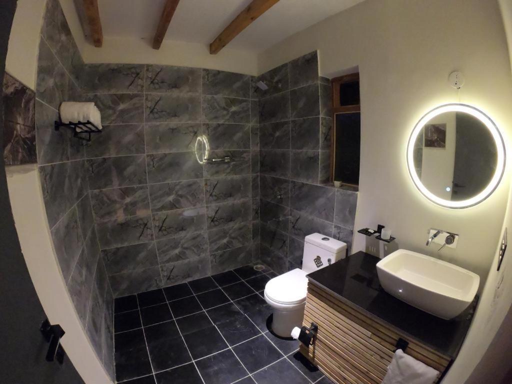 洪达尔Eden Resort Nubra的一间带水槽、卫生间和镜子的浴室