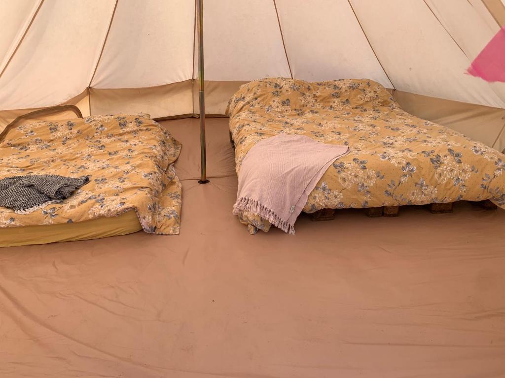 BuckinghamshirePenn Meadow Farm的帐篷内提供两张床