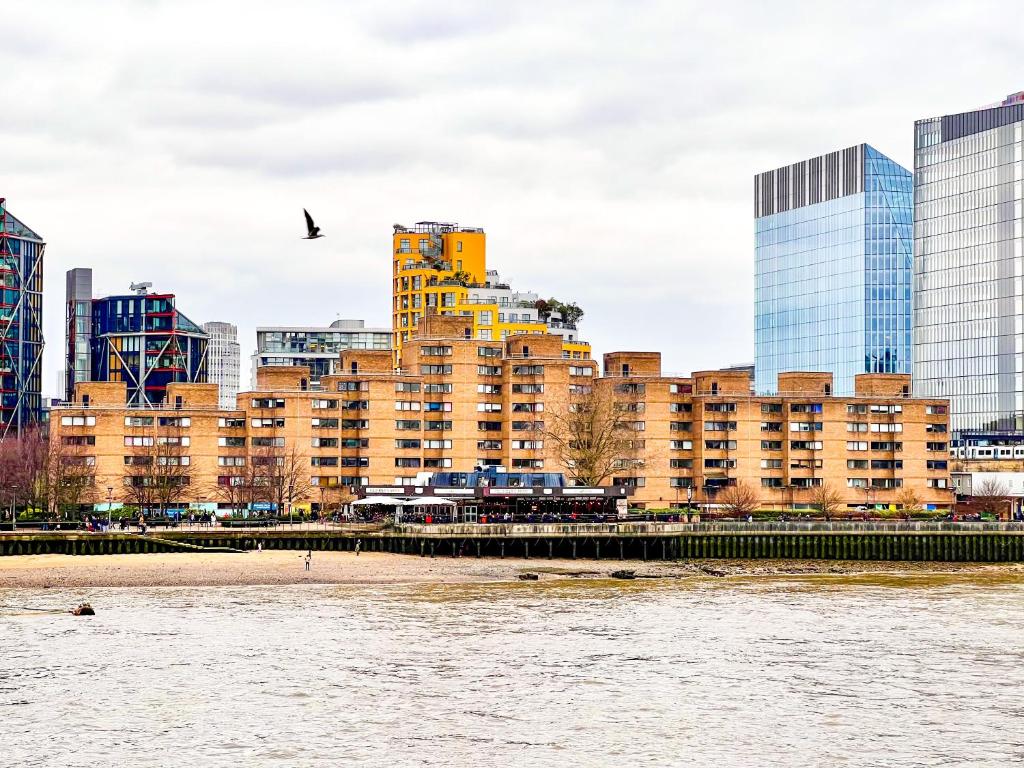 伦敦Happy River Thames View Entire Apartment的享有河流和建筑的城市美景