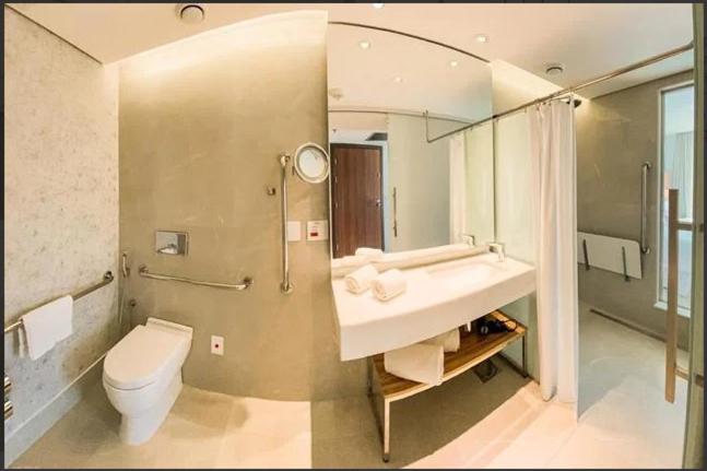 里约热内卢HOTEL NACIONAL BLOCO 01 1512/013的一间带水槽、卫生间和镜子的浴室