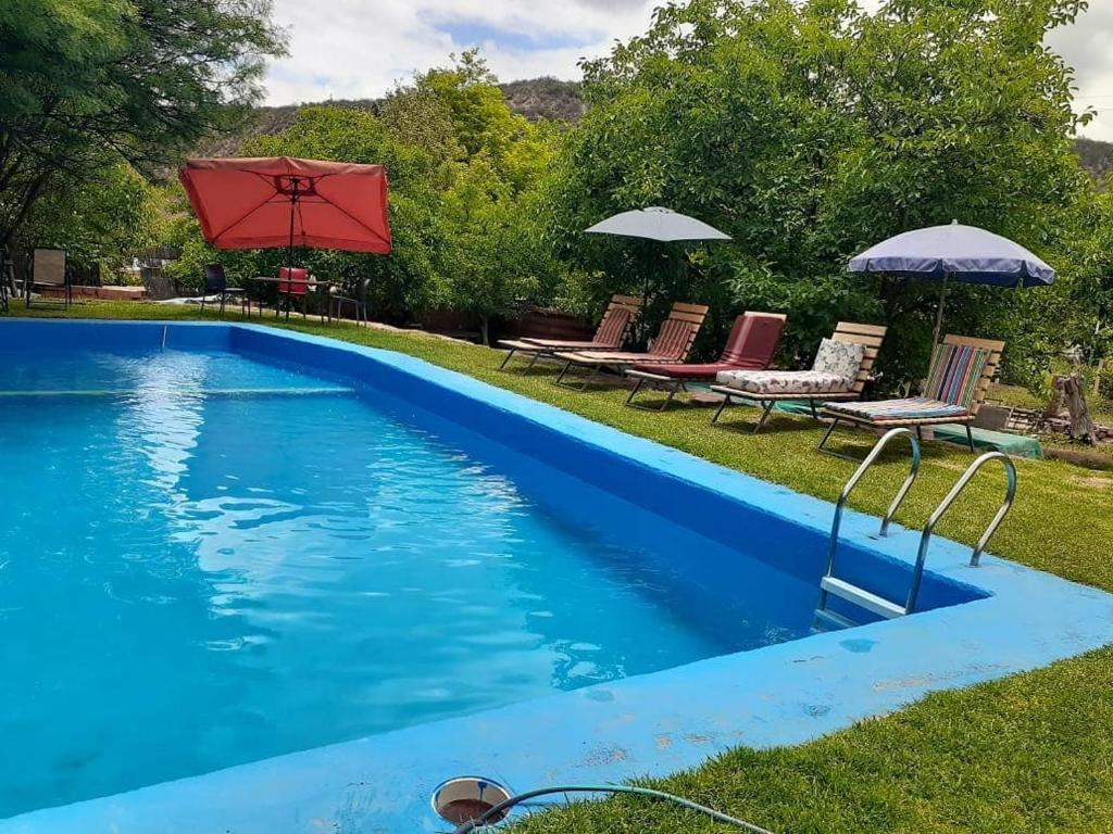 AicuñaHostal La Casa的蓝色游泳池旁设有椅子和遮阳伞