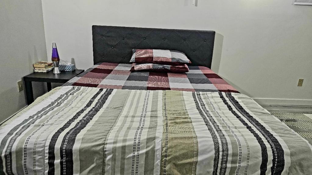 埃德蒙顿Bright and Cozy Room with Free Parking的一张带条纹毯子的床和两个枕头