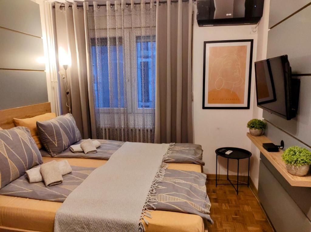VoždivacStudio Sunset的小房间设有两张床和电视
