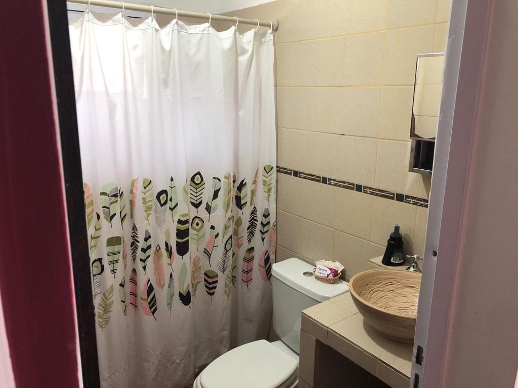 巴克罗斯Casitas de Campo Wara kusi - Complejo de cabañas的一间带卫生间和淋浴帘的浴室