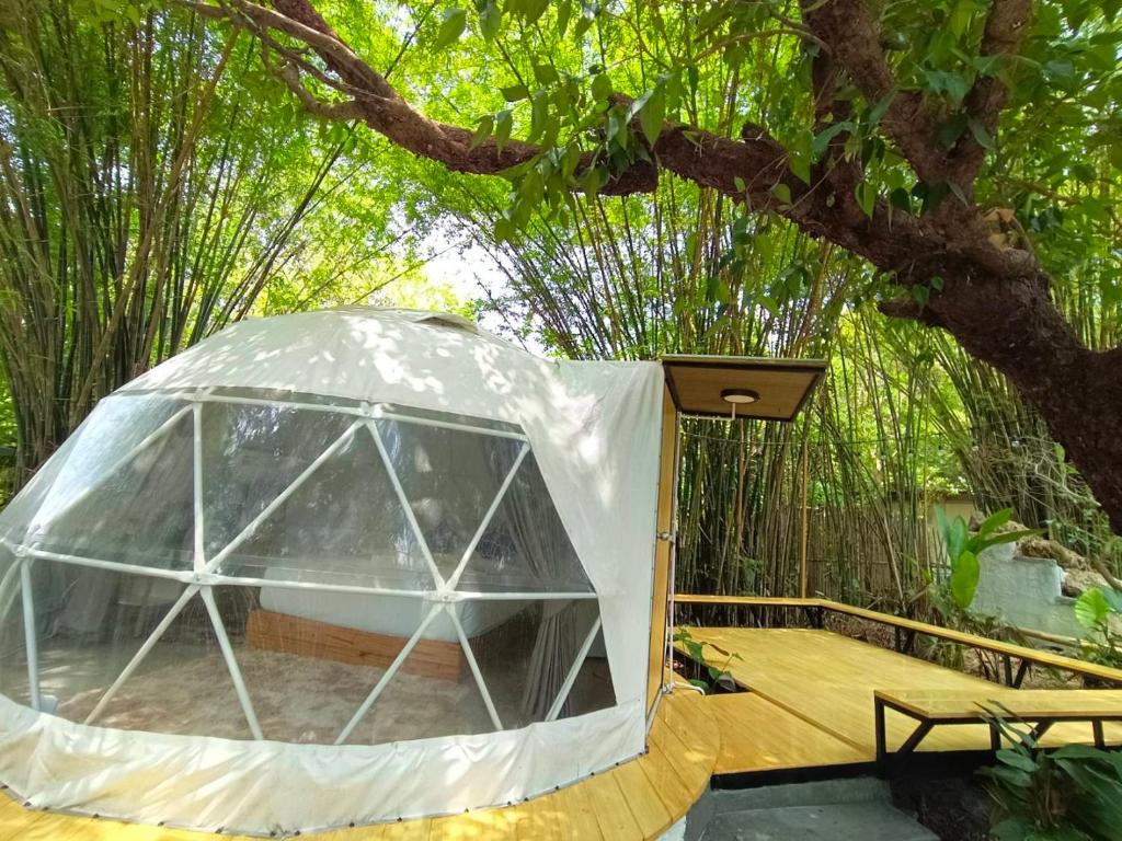 坤西育府Baan Nai Baan Nok Resort的树林中的冰屋帐篷