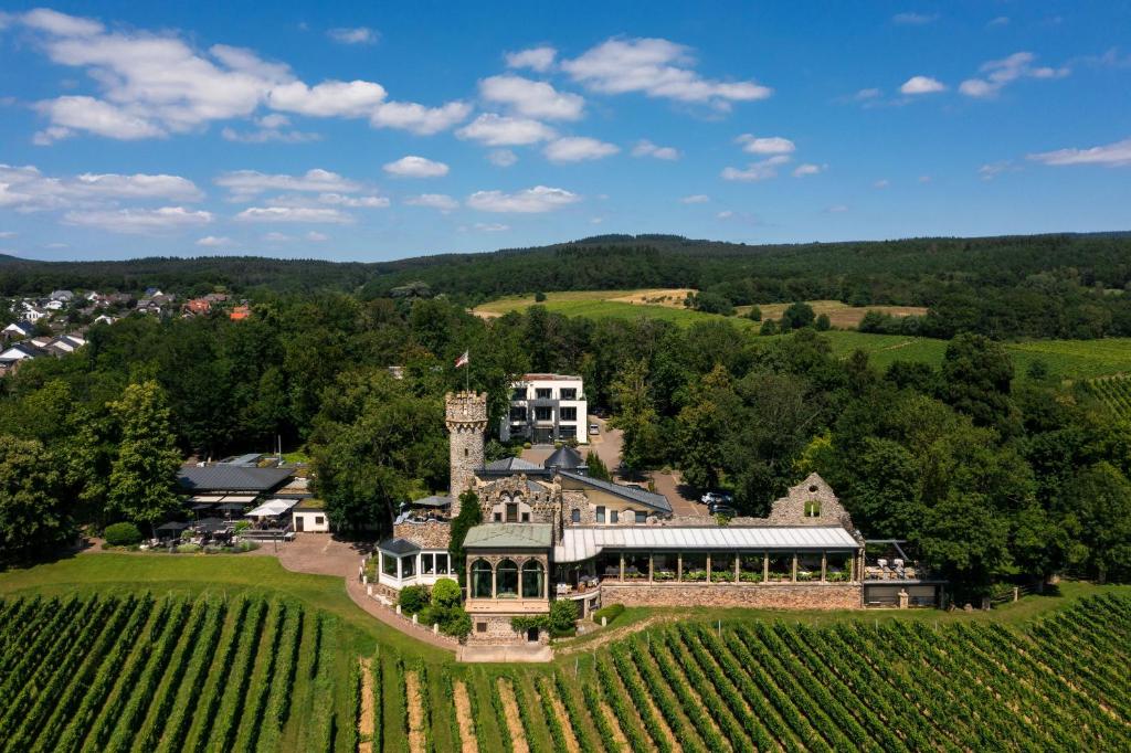 盖森海姆伯格茨瓦尔曾斯坦瑞雷斯城堡酒店的享有葡萄园大庄园的空中景致