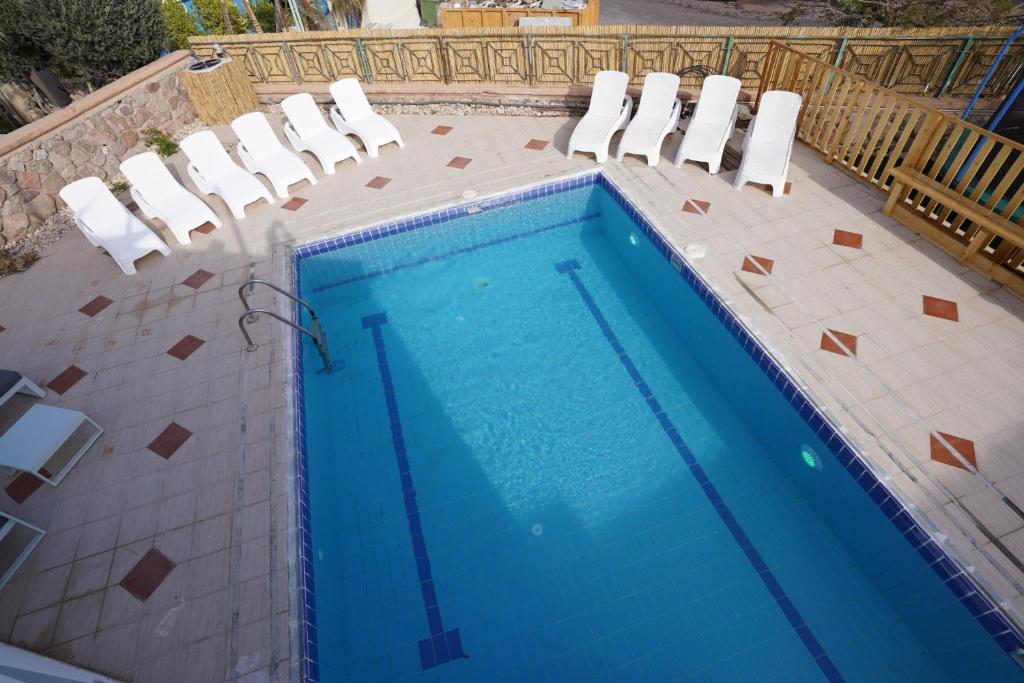 埃拉特YalaRent Afarsemon Apartments with pool - For Families & Couples的一个带椅子的游泳池和一个游泳池