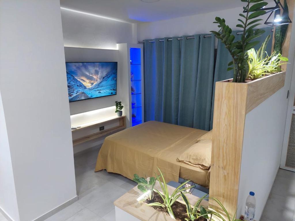 El YaqueYaque Suite的一间卧室配有一张床和一台平面电视