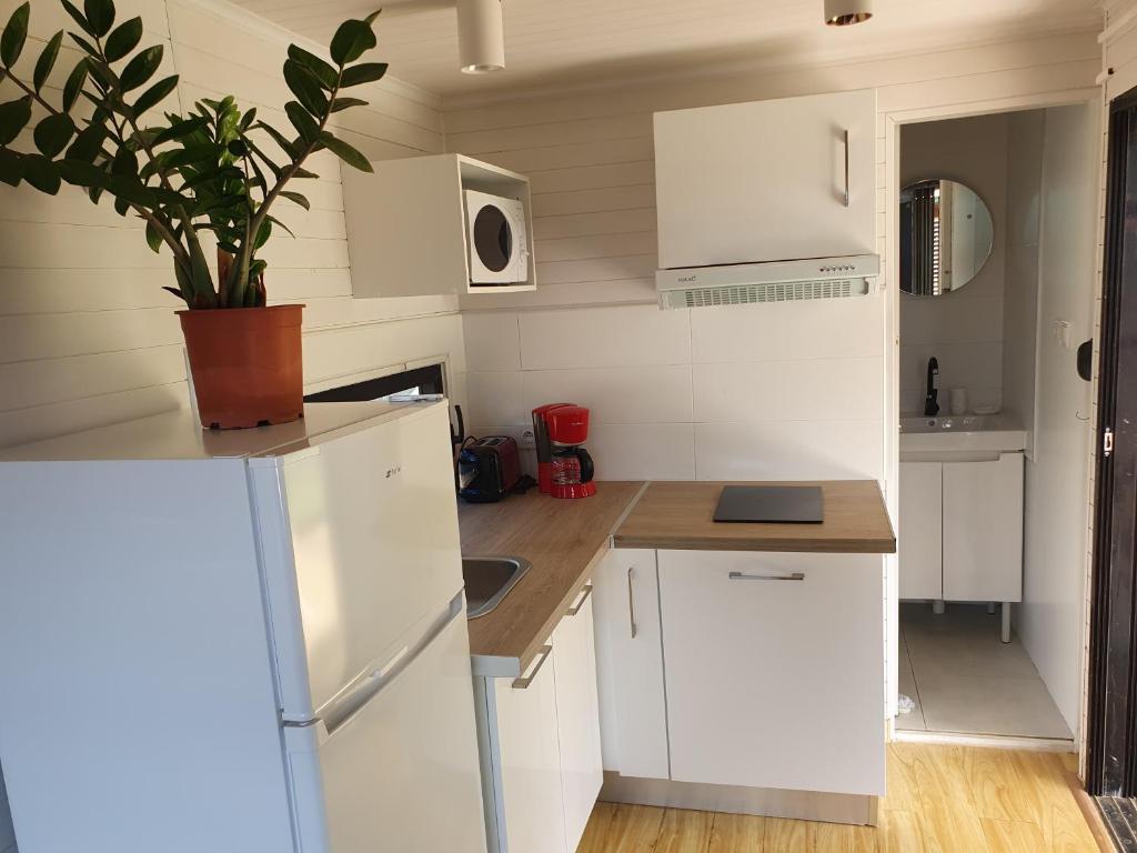 RémiréLes Maripas Studio 1的厨房配有白色橱柜和盆栽植物