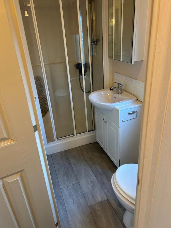 LlangristiolusHideout caravan的浴室配有卫生间、盥洗盆和淋浴。