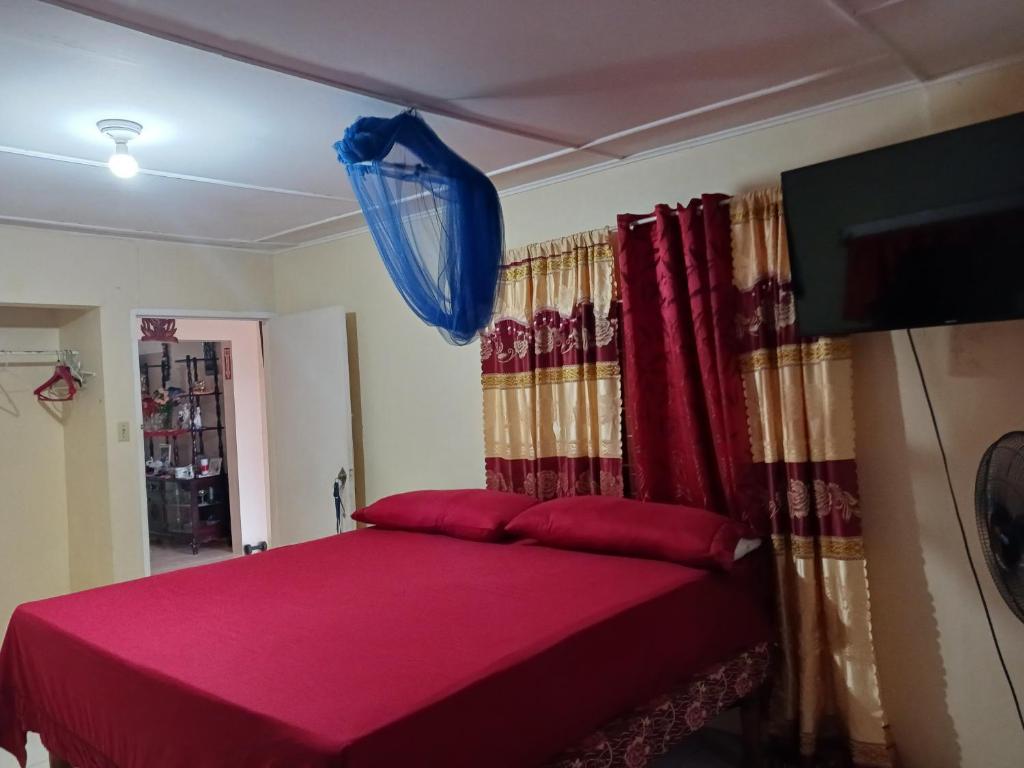 欧丘里欧蒂娜旅馆的一间卧室配有红色窗帘的粉红色床