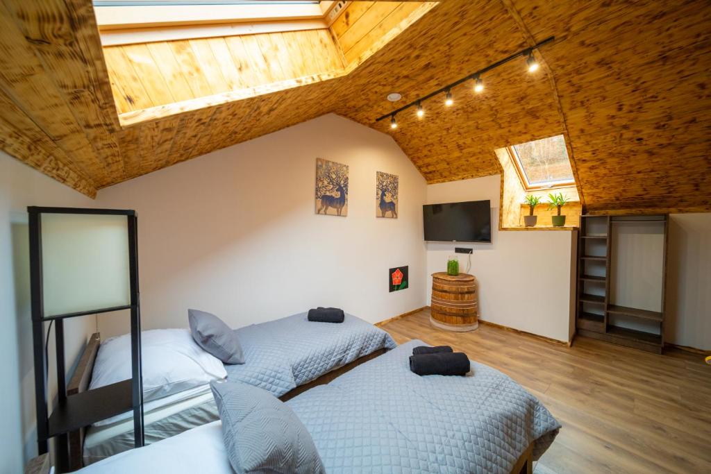 BarciceApartamenty Czarni Górale的天花板客房内的两张床