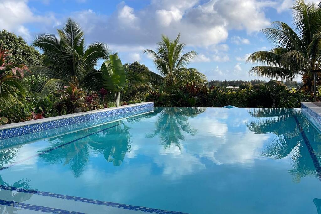 阿瓦鲁阿Avaiki Nui Villa的一座拥有蓝色海水和棕榈树的游泳池