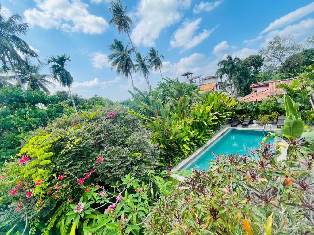 MahabageRoshe-Sky Guest House Colombo的花园的形象,花园中设有一个游泳池