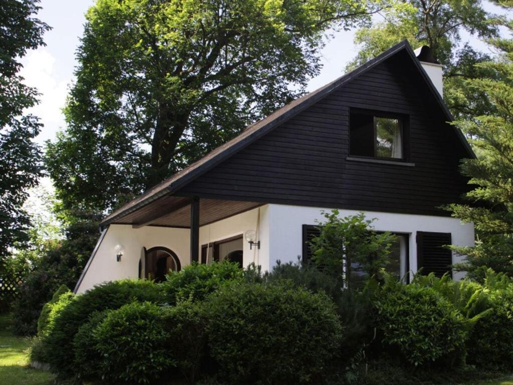 DrebachDrebach Modern retreat的黑白房子,黑屋顶