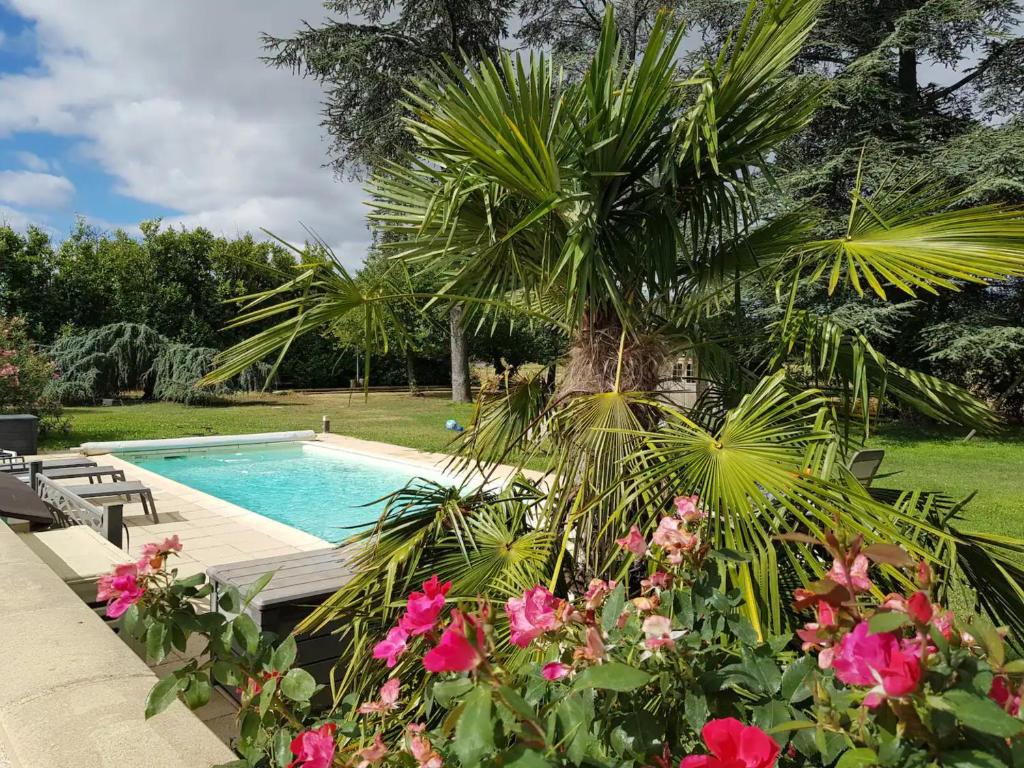 瓦朗斯Au Epicéah, logement à la campagne的一座种有棕榈树和鲜花的游泳池