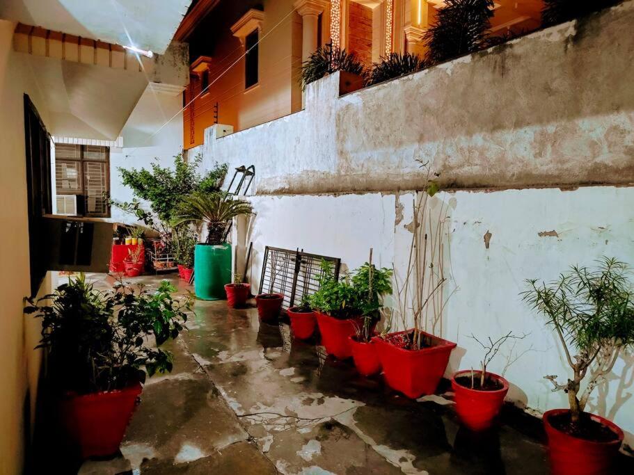 Ayodhya2 Bedroom Suite on Ground Floor Ayodhya的庭院里一群盆栽植物