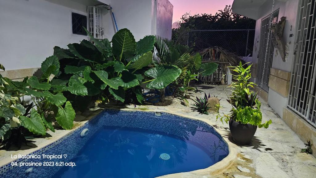 蓬塔卡纳Unique and quiet APARTMENTS La Botánica Tropical的花园内的一个小型游泳池,种植了植物