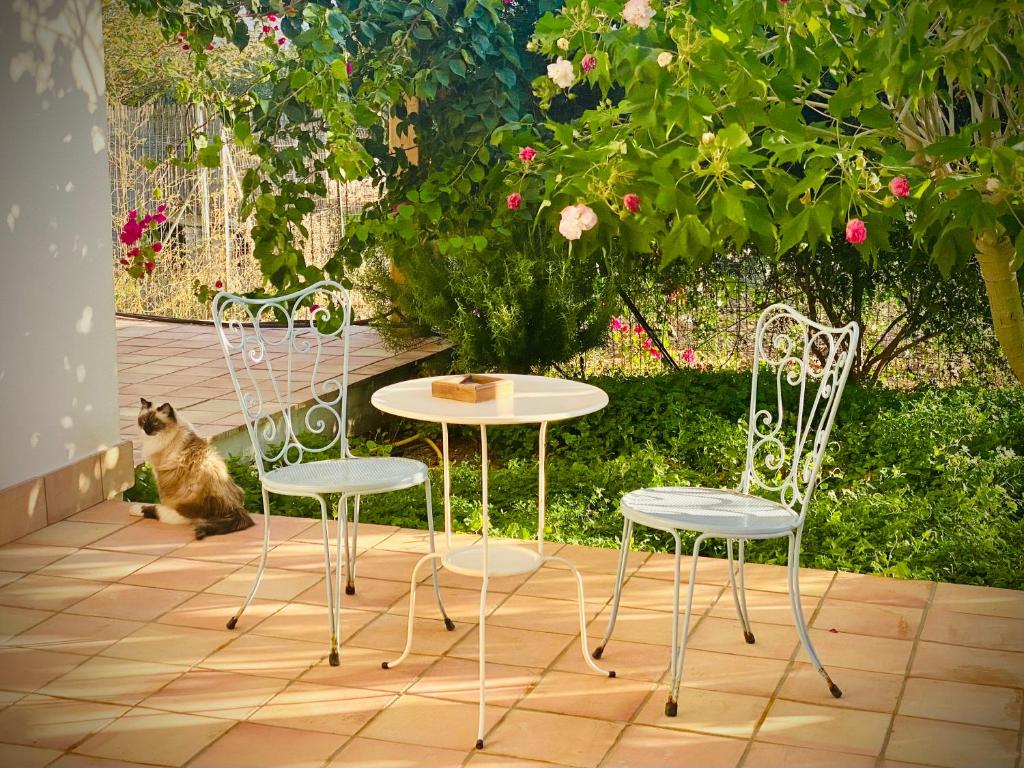 罗戈·格兰德卡萨莱劳勒斯住宿加早餐旅馆的坐在桌子和两把椅子旁边的一只猫