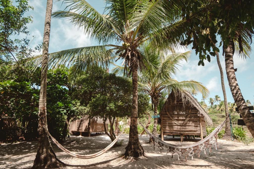 卡马萨里Suíte beija-flor的海滩上两棵棕榈树之间的吊床