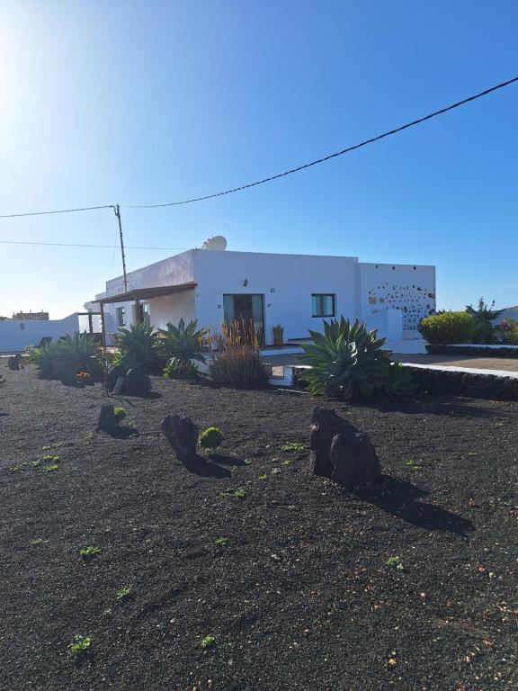 特吉塞Casa el Gallo的前面有植物的白色房子