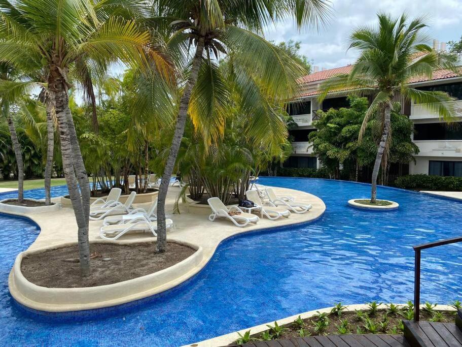 普拉亚科罗纳多Tower Suite Hotel Coronado的一个带躺椅和棕榈树的度假游泳池