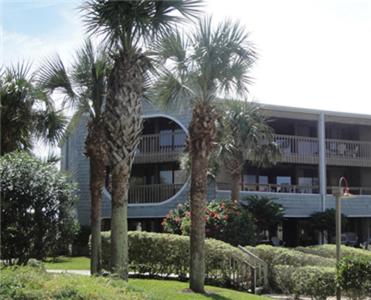 圣奥古斯丁海滩芙蓉海滨度假村的两棵棕榈树,在一座建筑前