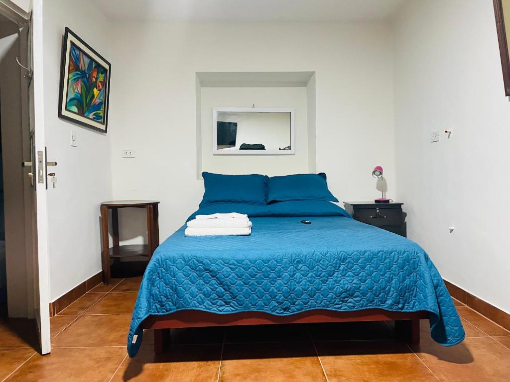 塔里哈Casa céntrica Las Higueras的一间卧室配有蓝色的床和蓝色的毯子