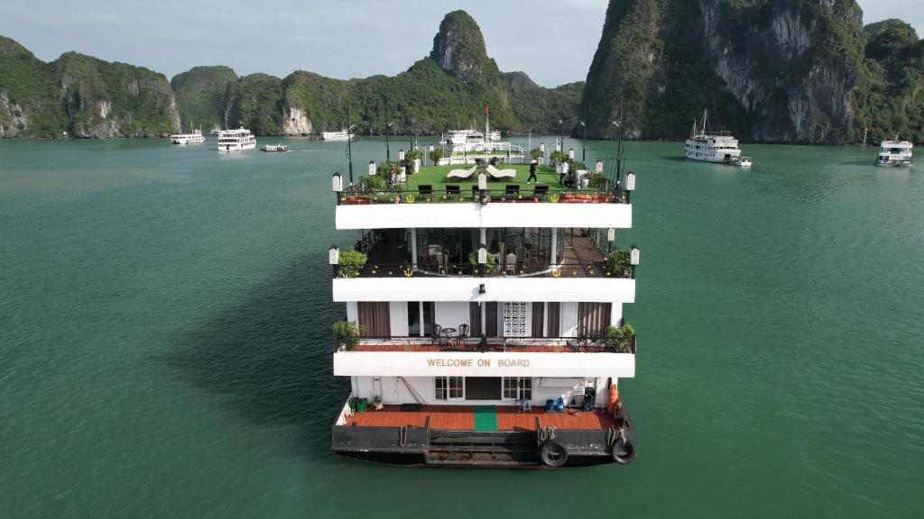 下龙湾Hạ Long Aqua Legend Cruise的与其他船只一起在水中停靠的大船