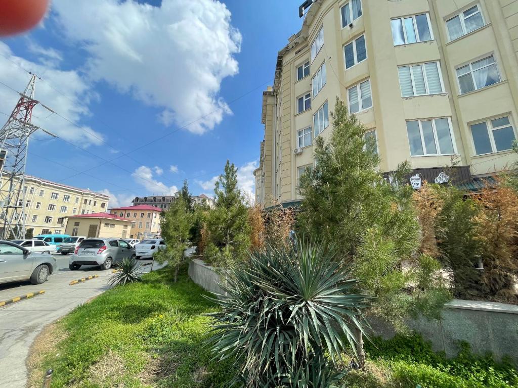 撒马尔罕Cozy apartment的城市中拥有建筑和植物的街道