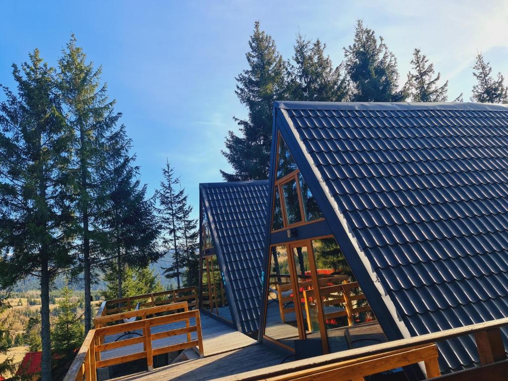 皮亚特拉凡塔讷勒Cabane A-frame CeziAde Tihuta的屋顶上设有太阳能电池板的房子