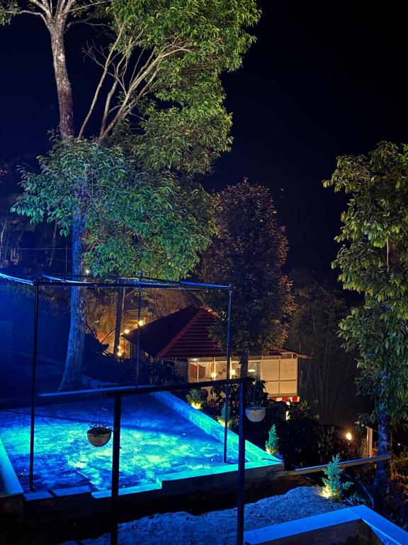 马迪凯里Coorg Heritage Hill View Resort的游泳池在晚上点亮