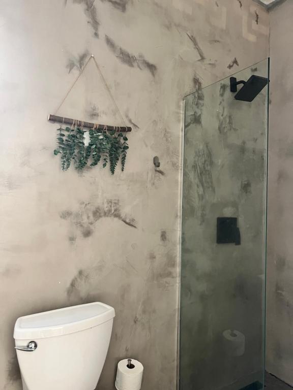 圣胡安Villa Bamboo的一间带卫生间和淋浴的浴室