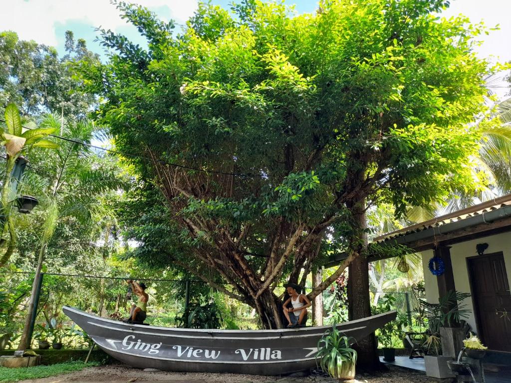 高尔Ging View Villa的坐在院子中树旁的船