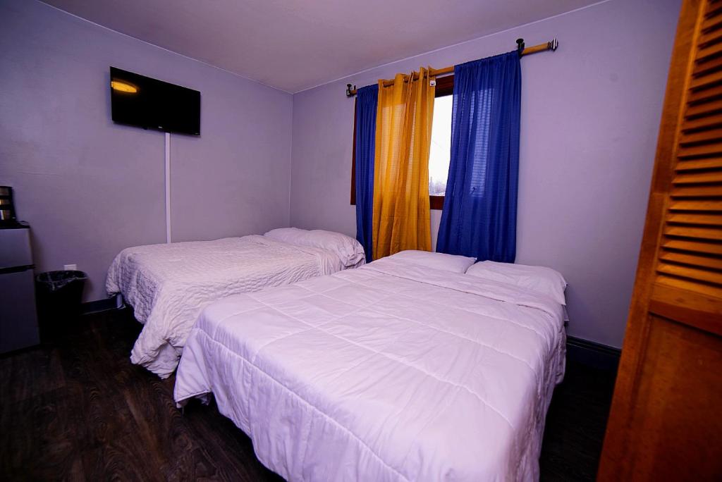 安克雷奇Cozy Private Room With Two Beds的配有窗户的酒店客房内的两张床