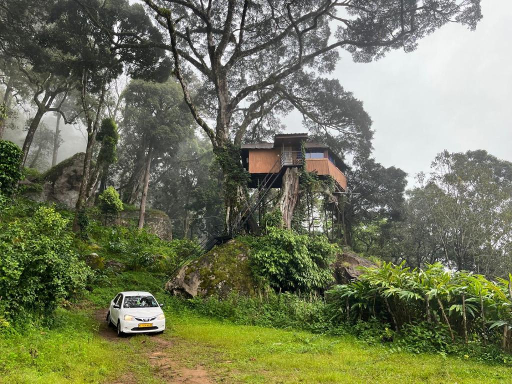 蒙纳Tree House Munnar的停在山丘上房子前面的白色汽车