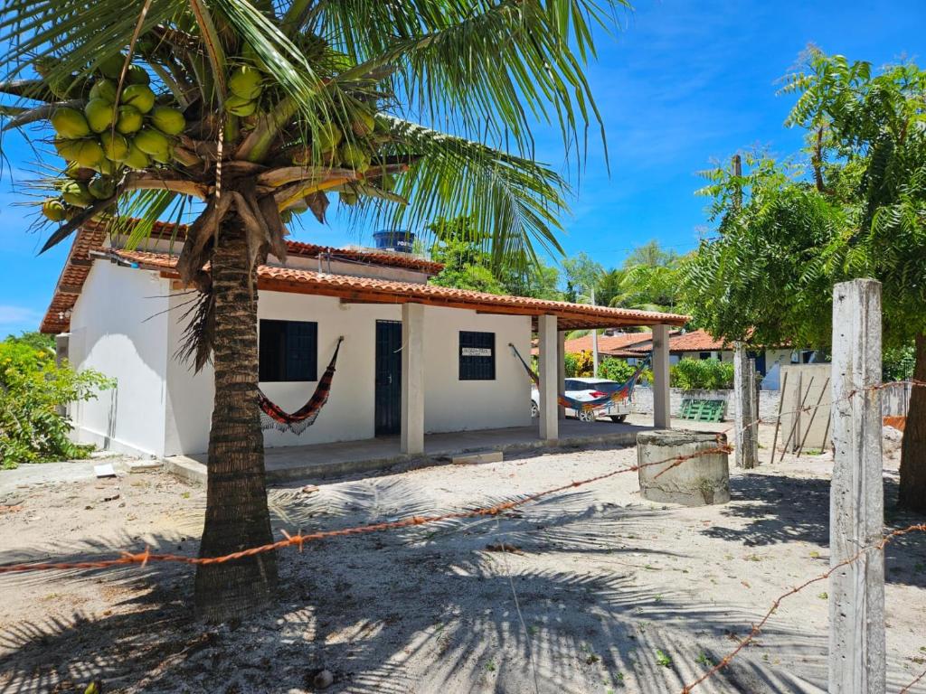 JaguaribeAconchegante casa perto da praia da Enseada dos Golfinhos OBS não é Jaguaribe的房子前面的椰子树