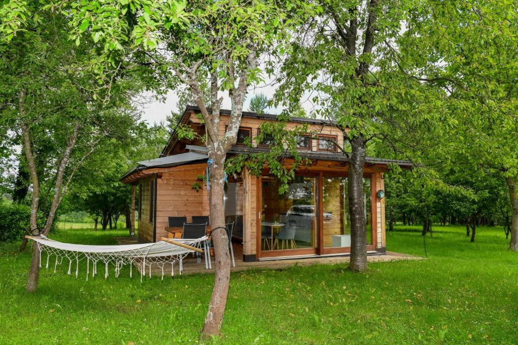 拉科维察Tiny House Grabovac的庭院内带吊床的小木屋
