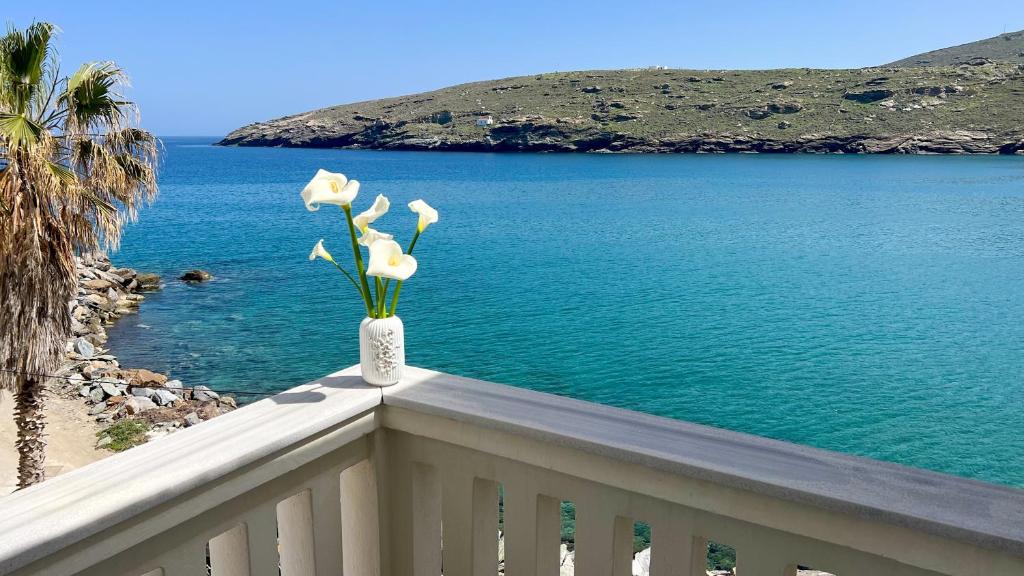 安德罗斯Beachfront Gem in Andros Town的花瓶坐在俯瞰水面的阳台